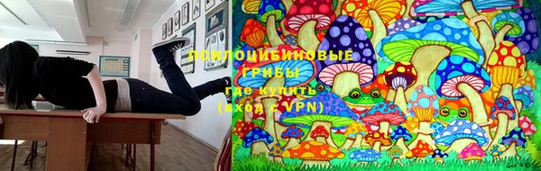 прущий лед Алексин